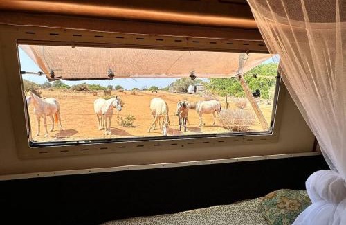 Lagos Casa | Pauls caravan for 4 - See the horses from your bed