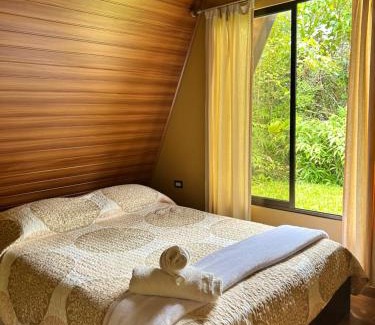 Baru Casa | Pavón dorado