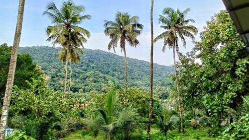 Irinjalakuda Casa | Pavans Rainy Days Home Stay