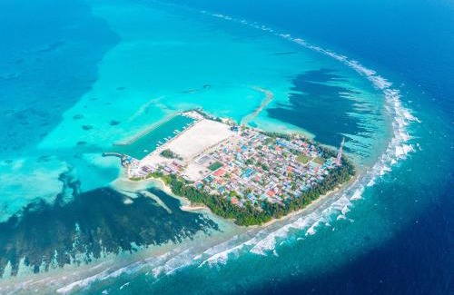 Gaafaru Casa | Pavona Maldives