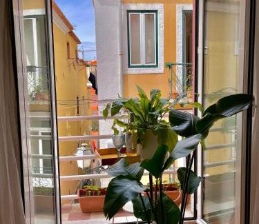 Merces Apartamento | Paz 38 by NOOK