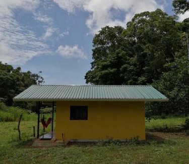 Bahía Drake Hotel | Paz y Flora Cabins - 4x4 or 4x2 Car Only