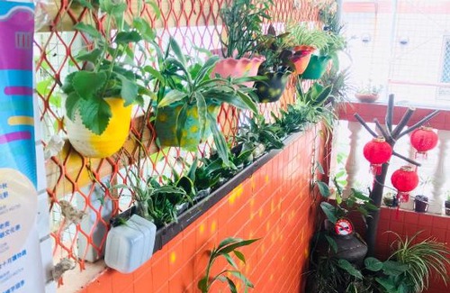 Jincheng Cama Y Desayuno | Peace 28 B&B