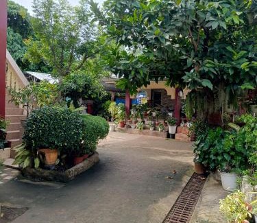 Tawala Apartamento | Peace Lily Studio Apartments Panglao
