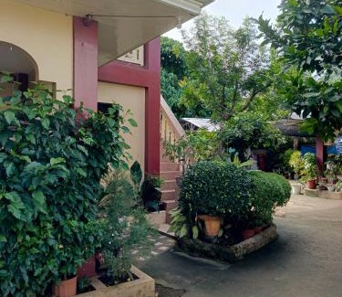 Tawala Apartamento | Peace Lily Studio Apartments Panglao