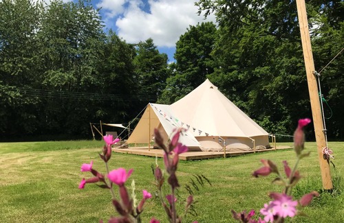 Swannington Cabina | Peaceful and hidden away in rural Norfolk, Lilypad sits amongst wild flowers