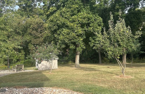 Fowler Cabina | Peaceful cabin with AC in charming Liberty