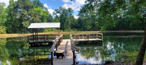 Claxton Casa | Peaceful Cabin with Dock and Pond Views in Georgia