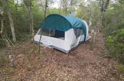 Edgar Alquiler De RV | Peaceful campsite -head of Ocala National Forest trails.