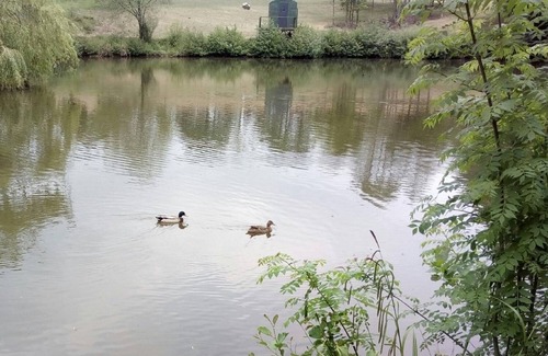 Hadlow Down Cabina | Pacífica, acogedora y aislada cabaña de pescadores junto al lago.