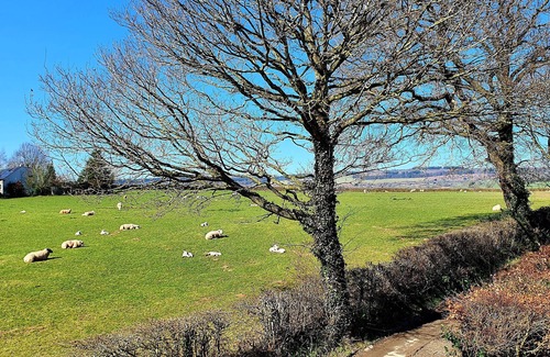 Leominster Cabaña | Peaceful cottage nr Ludlow & Leominster, newly renovated, large garden & orchard