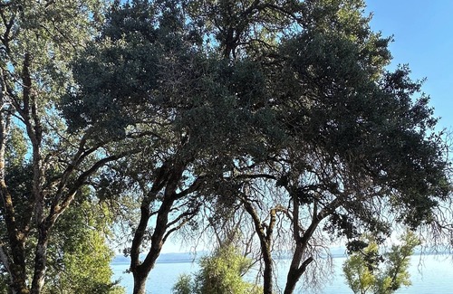 Nice Cabina | Peaceful & Cozy lakeside cottage w/ free parking