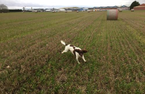 Bridlington Casa | Peaceful Dog Friendly Cottage near Bridlington