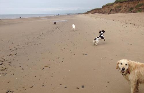Bridlington Casa | Peaceful Dog Friendly Cottage near Bridlington