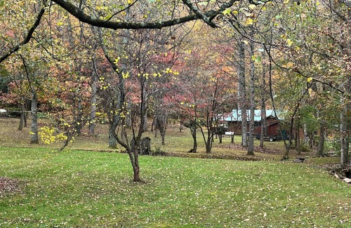 Andrews Cabina | Peaceful Firefly Creek Cabin in Nantahala- pet-friendly