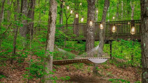 Fort Payne Casa | Peaceful Hideaway Treehouse near Little River Canyon