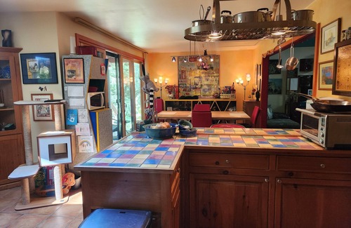 Chapel Hill Casa | Peaceful, Private Woodland Lot, 9 Minutes to UNC/Downtown Chapel Hill