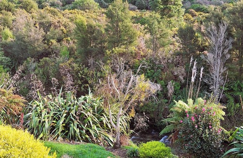 Waikawa Casa | Peaceful quiet environment; 6 minutes to Picton; close to marinas; pet friendly.