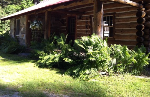 Clarendon Cabina | Peaceful Retreat surrounded by things to explore