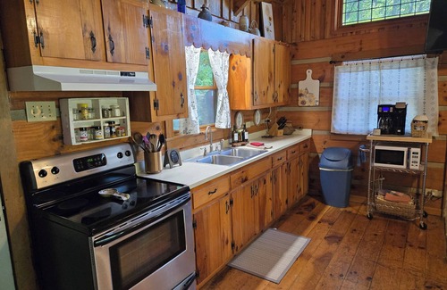Lansing Cabina | Peaceful Riverfront Log Cabin w/ Hot tub near West Jefferson