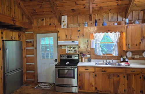 Lansing Cabina | Peaceful Riverfront Log Cabin w/ Hot tub near West Jefferson