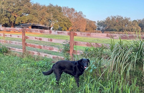 Clermont Otro | Peaceful RV Parking in Clermont/Groveland