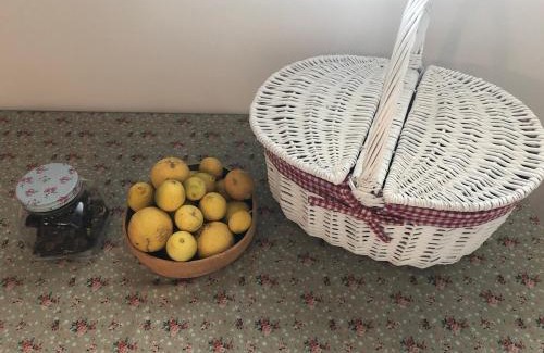 Modiin Casa | Peaceful Stay Between Tel Aviv, Jerusalem & the Airport