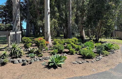 Baywood-Los Osos Apartamento | Peaceful Suite by the Bay Pet-Friendly