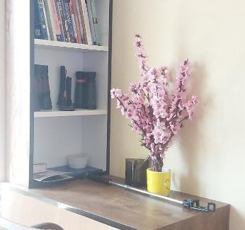 Shilla Casa | Peach Villa Farm Stay