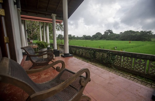 Dambulla Casa | Peacock House Sigiriya