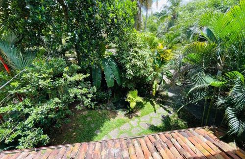 Wanchawala Casa | Peacock Paradise