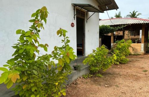 Dambulla Casa | Peacock village and family resort