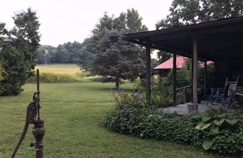 Unicoi Cabina | Peacocks, blacksmithing, buffalo, wildlife, a studio cabin by the pond.