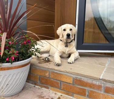 Holsworthy Casa | Pear Tree Pod with secluded outdoor bath - Dog Friendly