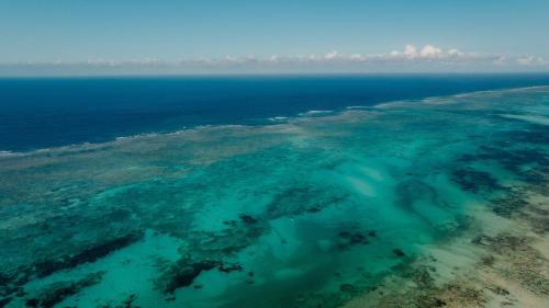 Michamvi Complejo | Pearl Beach by Sansi