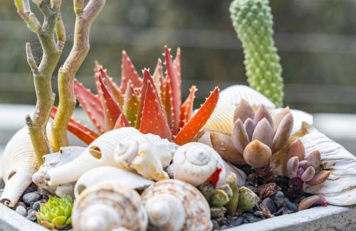 Wilderness Casa | Pearl Moon Boutique Suites