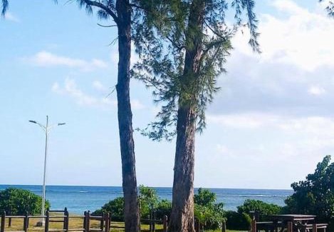 Wolmar Apartamento | Pearl villa