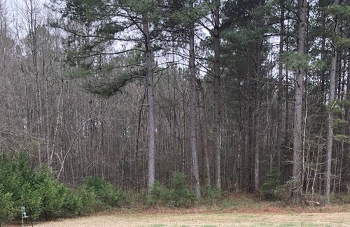 Johnston County Apartamento | Pearly Paradise