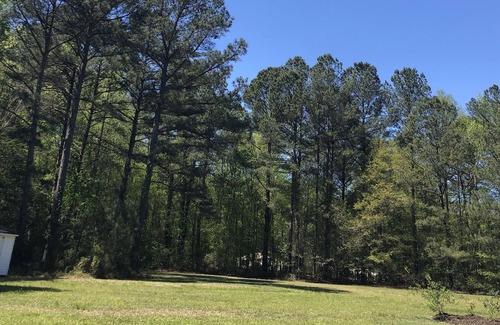 Johnston County Apartamento | Pearly Paradise