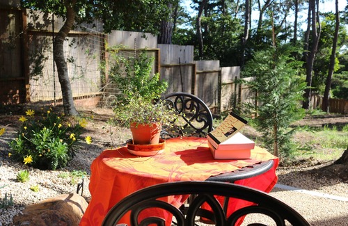 Pebble Beach Cabaña | Pebble Cottage: nuevo, elegante y a pasos de The Lodge y Stevenson School