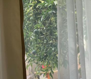 Mytilene Apartamento | Peculiar Garden Apartment