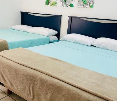 Pedregal Hotel | Pedregal Suites - Marina and Downtown
