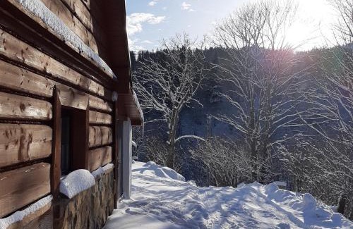 Cisna Apartamento | PEGAZOWA WOLA CISNA