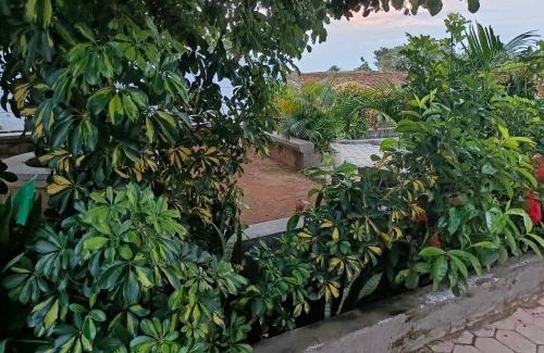 Eastern Region Casa | PEKU Berry's Arena