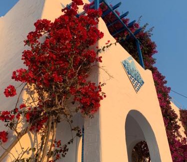 Parikia Apartamento | Pelagos Studios