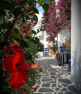 Parikia Apartamento | Pelagos Studios