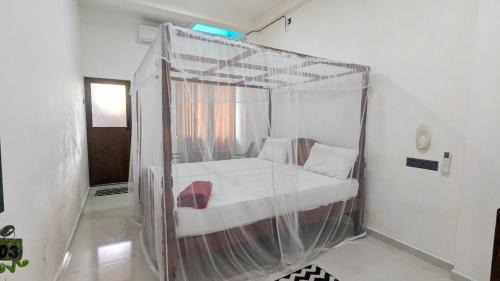 Mirissa Hotel | Pelican Beach Resort - Mirissa
