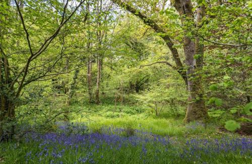 Llanfyrnach Otro | Pembrokeshire Yurts - Badger