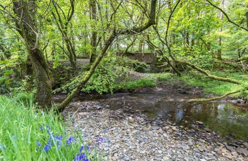 Llanfyrnach Otro | Pembrokeshire Yurts - Badger