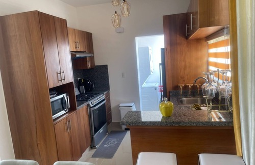 Santiago Province Apartamento | Penthouse picuzzy wf Netflix